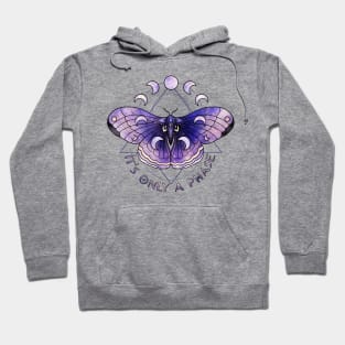 It's just a phase witchy moth design with moon phases Hoodie